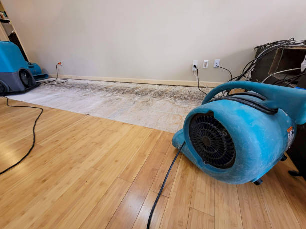 Professional Structural Drying technician working in Crestline, CA